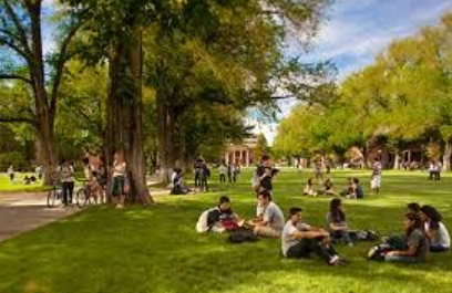 جامعة نيفادا - رينو